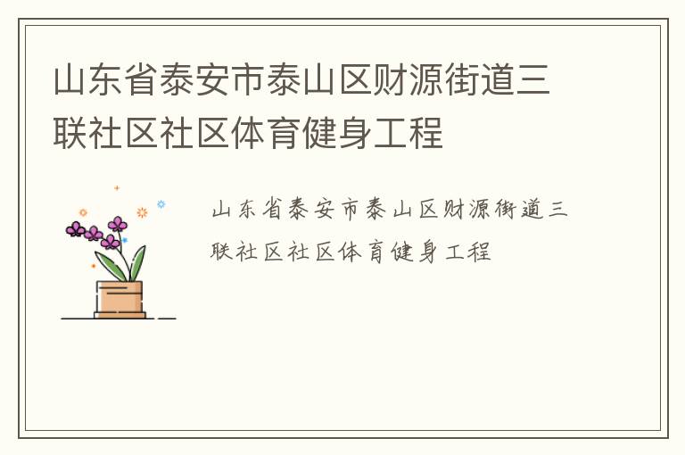 山東省泰安市泰山區(qū)財(cái)源街道三聯(lián)社區(qū)社區(qū)體育健身工程