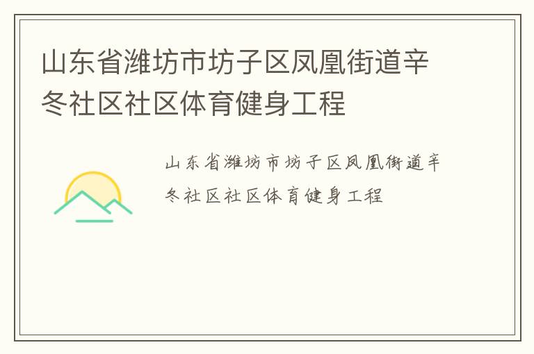 山東省濰坊市坊子區(qū)鳳凰街道辛冬社區(qū)社區(qū)體育健身工程