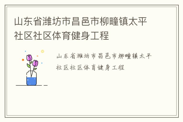 山東省濰坊市昌邑市柳疃鎮(zhèn)太平社區(qū)社區(qū)體育健身工程