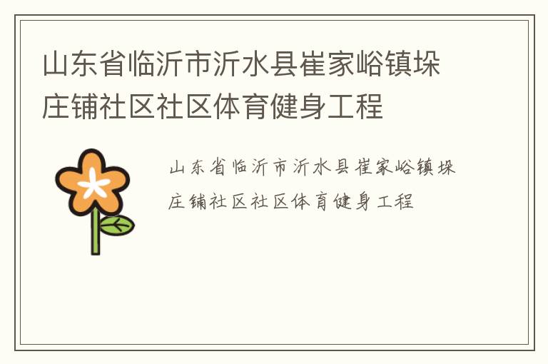 山東省臨沂市沂水縣崔家峪鎮(zhèn)垛莊鋪社區(qū)社區(qū)體育健身工程