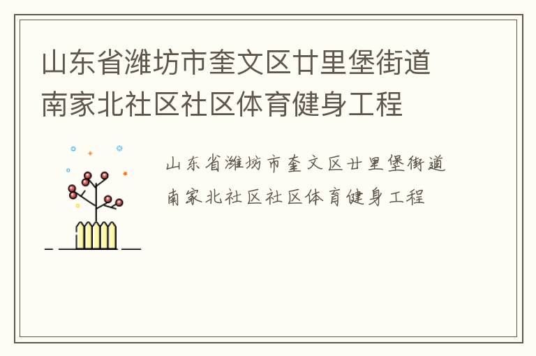 山東省濰坊市奎文區(qū)廿里堡街道南家北社區(qū)社區(qū)體育健身工程