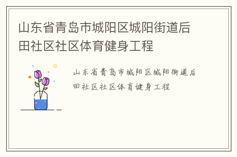 山東省青島市城陽區(qū)城陽街道后田社區(qū)社區(qū)體育健身工程