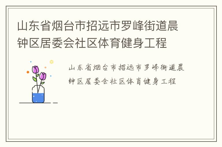 山東省煙臺市招遠市羅峰街道晨鐘區(qū)居委會社區(qū)體育健身工程