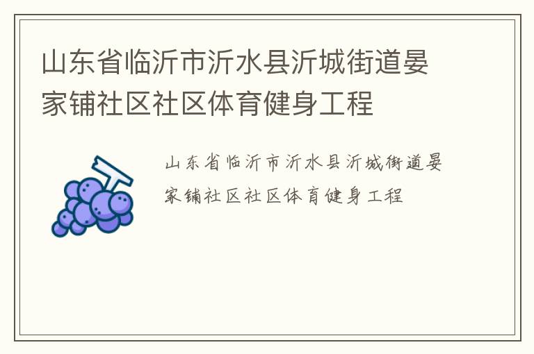 山東省臨沂市沂水縣沂城街道晏家鋪社區(qū)社區(qū)體育健身工程