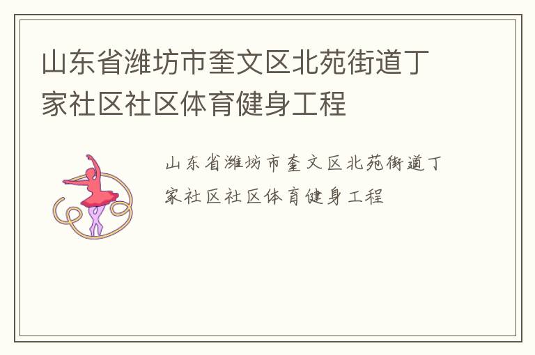 山東省濰坊市奎文區(qū)北苑街道丁家社區(qū)社區(qū)體育健身工程