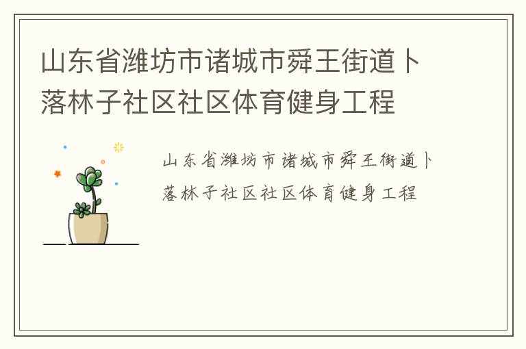 山東省濰坊市諸城市舜王街道卜落林子社區(qū)社區(qū)體育健身工程