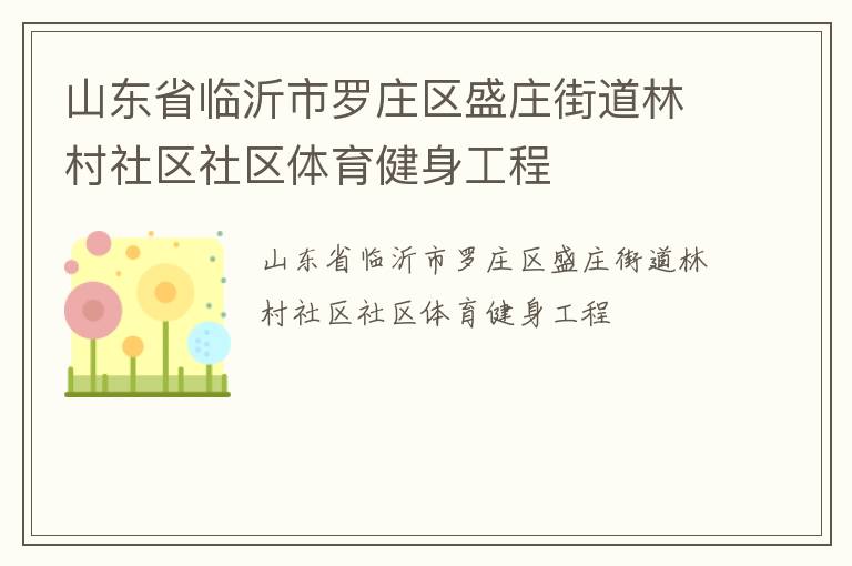 山東省臨沂市羅莊區(qū)盛莊街道林村社區(qū)社區(qū)體育健身工程