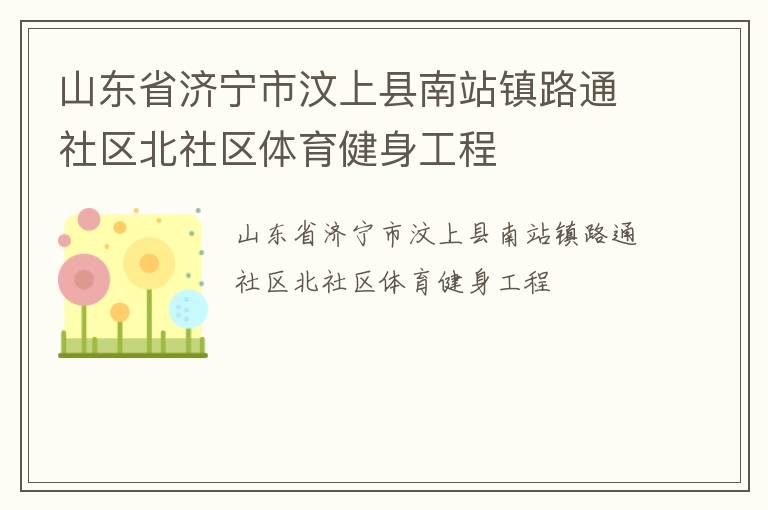山東省濟(jì)寧市汶上縣南站鎮(zhèn)路通社區(qū)北社區(qū)體育健身工程