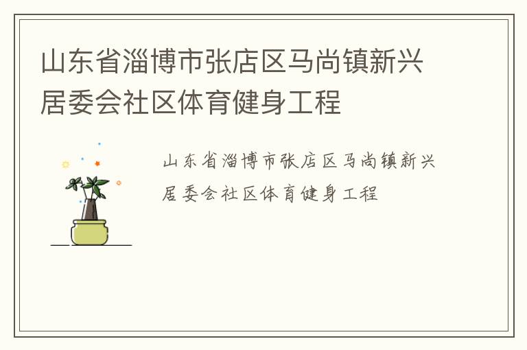 山東省淄博市張店區(qū)馬尚鎮(zhèn)新興居委會社區(qū)體育健身工程