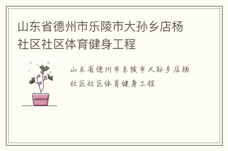 山東省德州市樂(lè)陵市大孫鄉(xiāng)店楊社區(qū)社區(qū)體育健身工程