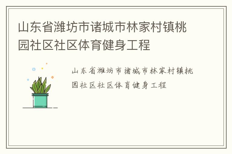 山東省濰坊市諸城市林家村鎮(zhèn)桃園社區(qū)社區(qū)體育健身工程