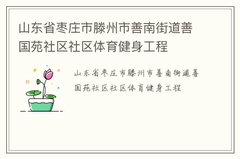 山東省棗莊市滕州市善南街道善國苑社區(qū)社區(qū)體育健身工程
