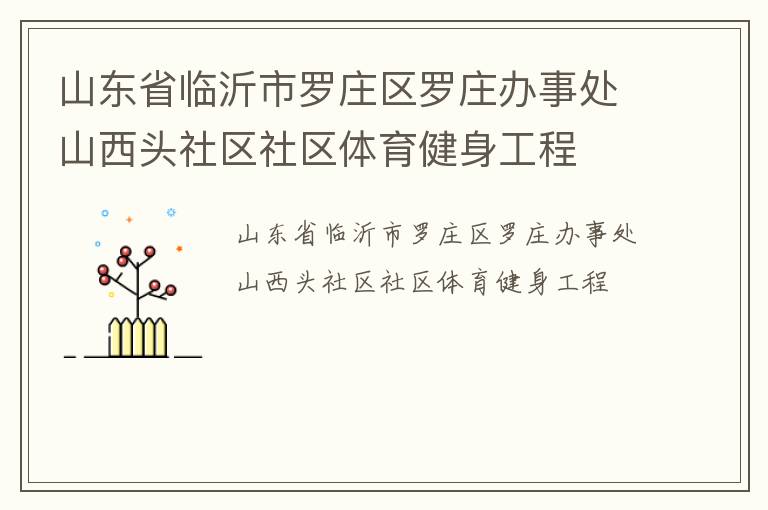 山東省臨沂市羅莊區(qū)羅莊辦事處山西頭社區(qū)社區(qū)體育健身工程