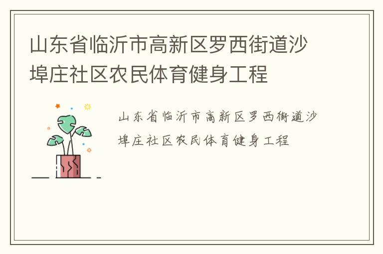 山東省臨沂市高新區(qū)羅西街道沙埠莊社區(qū)農民體育健身工程