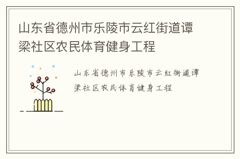 山東省德州市樂(lè)陵市云紅街道譚梁社區(qū)農(nóng)民體育健身工程