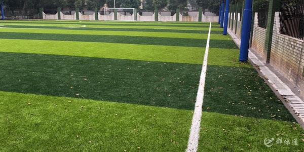 朱村社區(qū)足球場