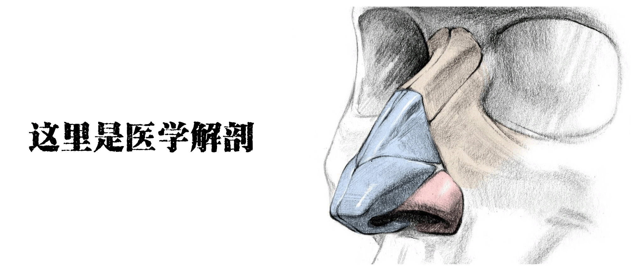醫(yī)學(xué)生的考試到底有多難？看把學(xué)生都逼成啥樣了