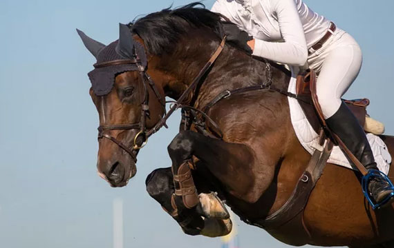 超級(jí)馬術(shù)俱樂(lè)部聯(lián)賽暨北京馬協(xié)青少年馬術(shù)巡回賽（北京天星調(diào)良馬術(shù)第三站）