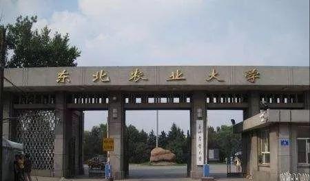 兩校合并，黑龍江將迎來一所新大學(xué)？教育廳有明確回復(fù)，值得期待