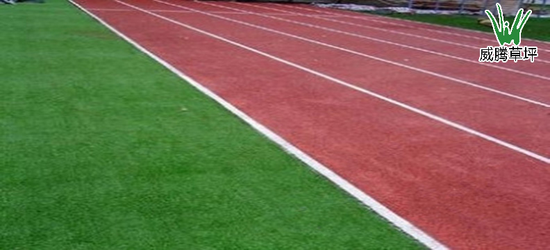 人工草坪操場及<a href=http://www.taijiali.cn target=_blank class=infotextkey>塑膠跑道</a>