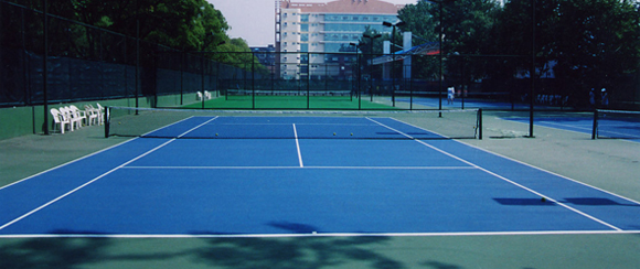 <a href=http://www.taijiali.cn target=_blank class=infotextkey>丙烯酸</a>球場廠家