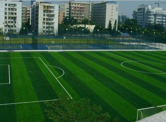 人造草坪圖片 人造草坪圖片