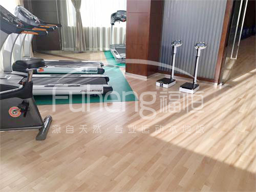 <a href=http://www.taijiali.cn target=_blank class=infotextkey>健身</a>房木地板-10fd