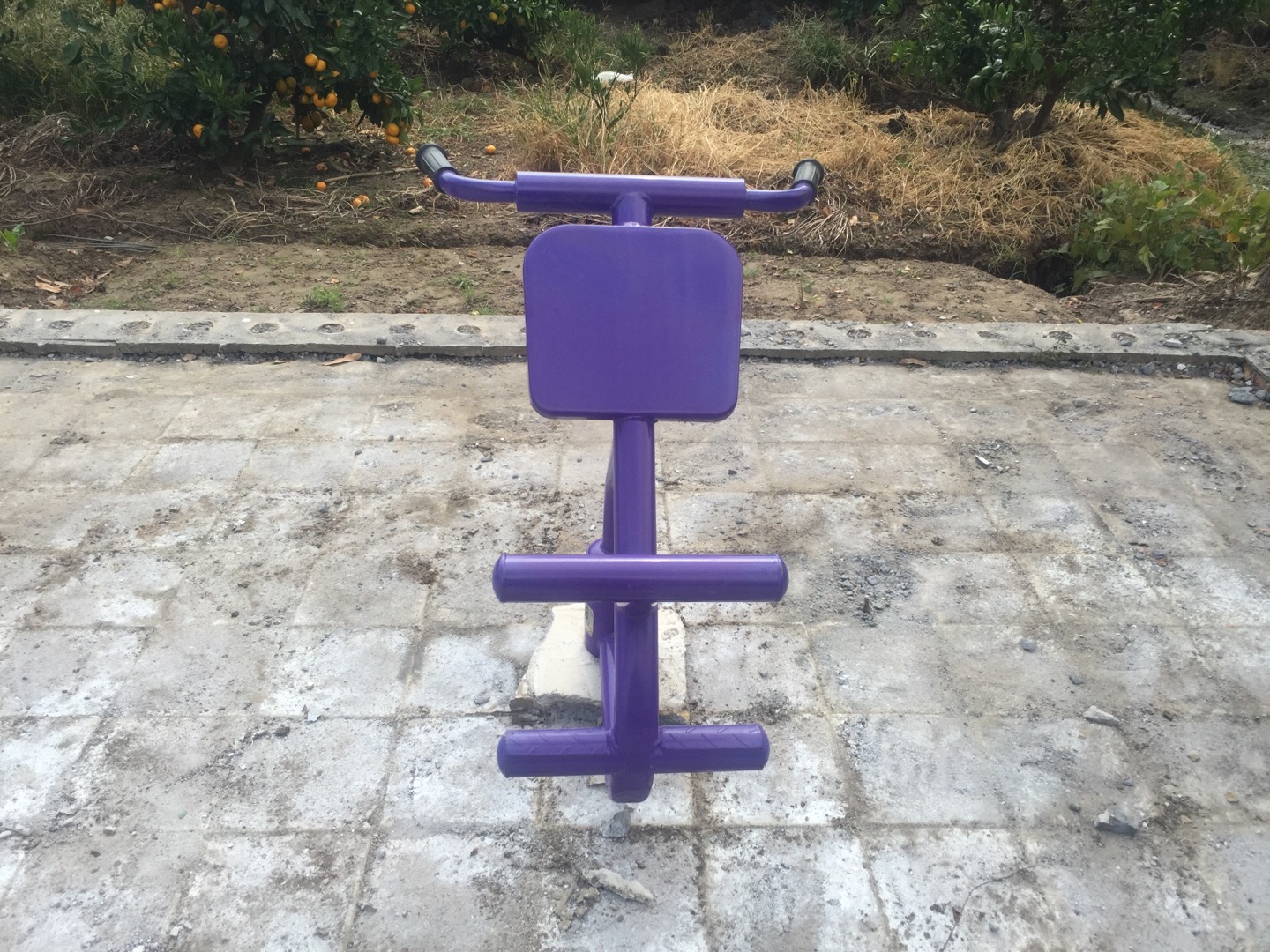 背肌訓(xùn)練器 背肌訓(xùn)練器