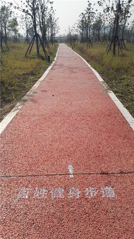 長(zhǎng)興生態(tài)廊道G40大轉(zhuǎn)盤(pán)健身步道