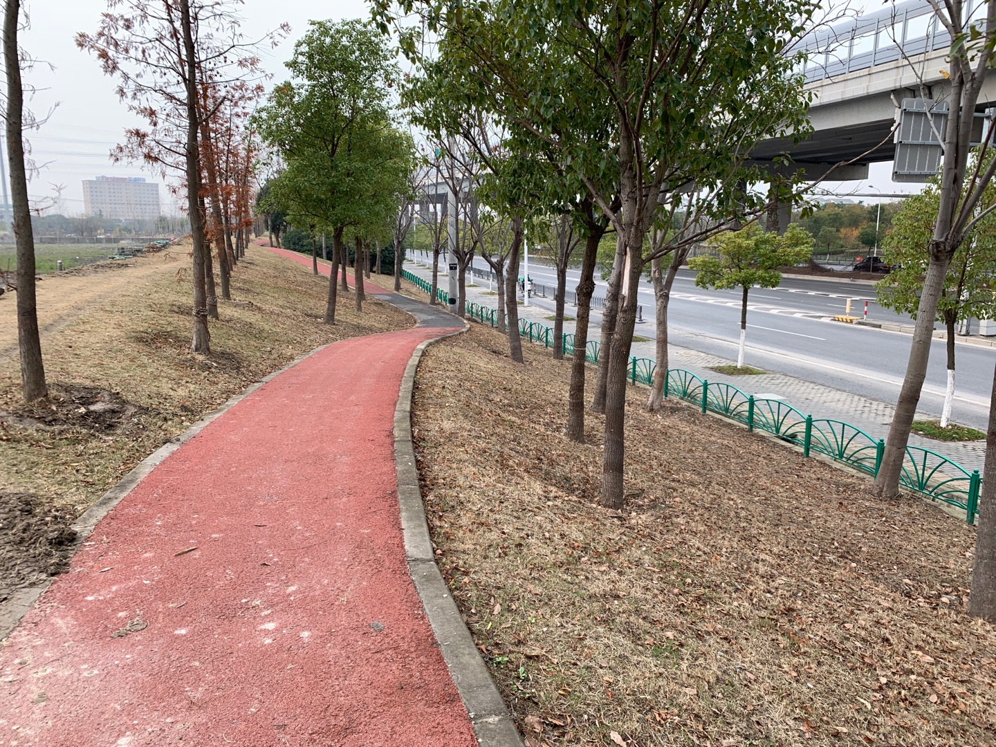 嘉閔高架綠化帶東側(cè)健身步道