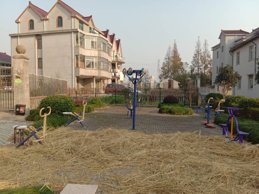 同治村13組健身點