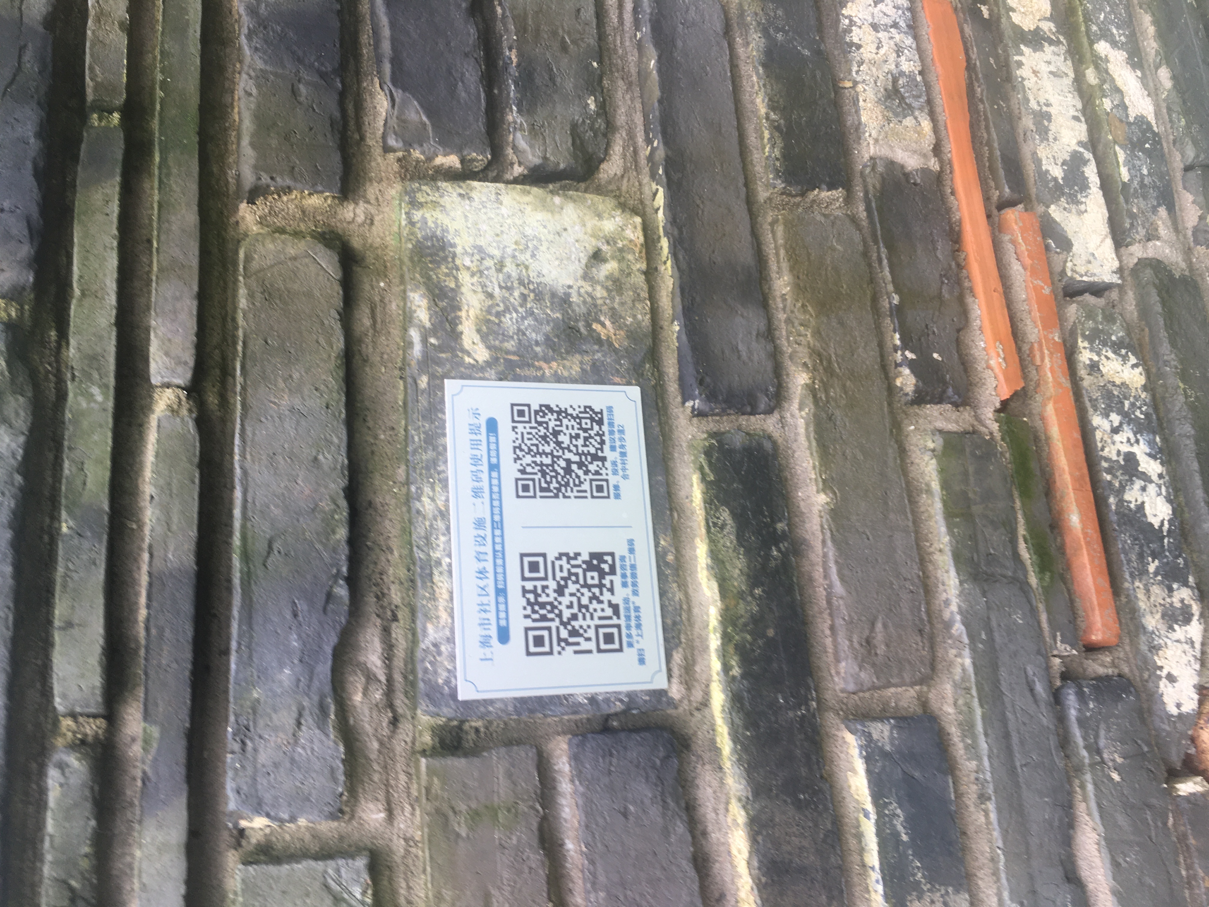 合中村健身步道2