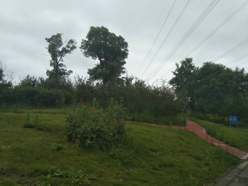 公共運(yùn)動(dòng)場