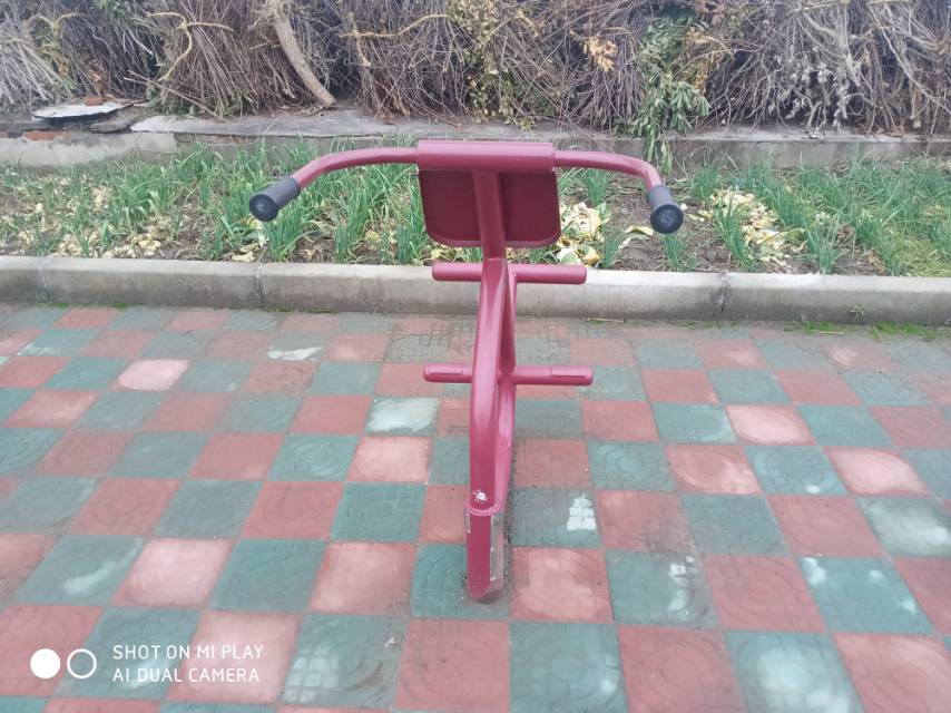 背肌/腹肌訓練器 背肌/腹肌訓練器