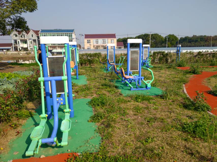 洼港村三組黨建微公園健身點