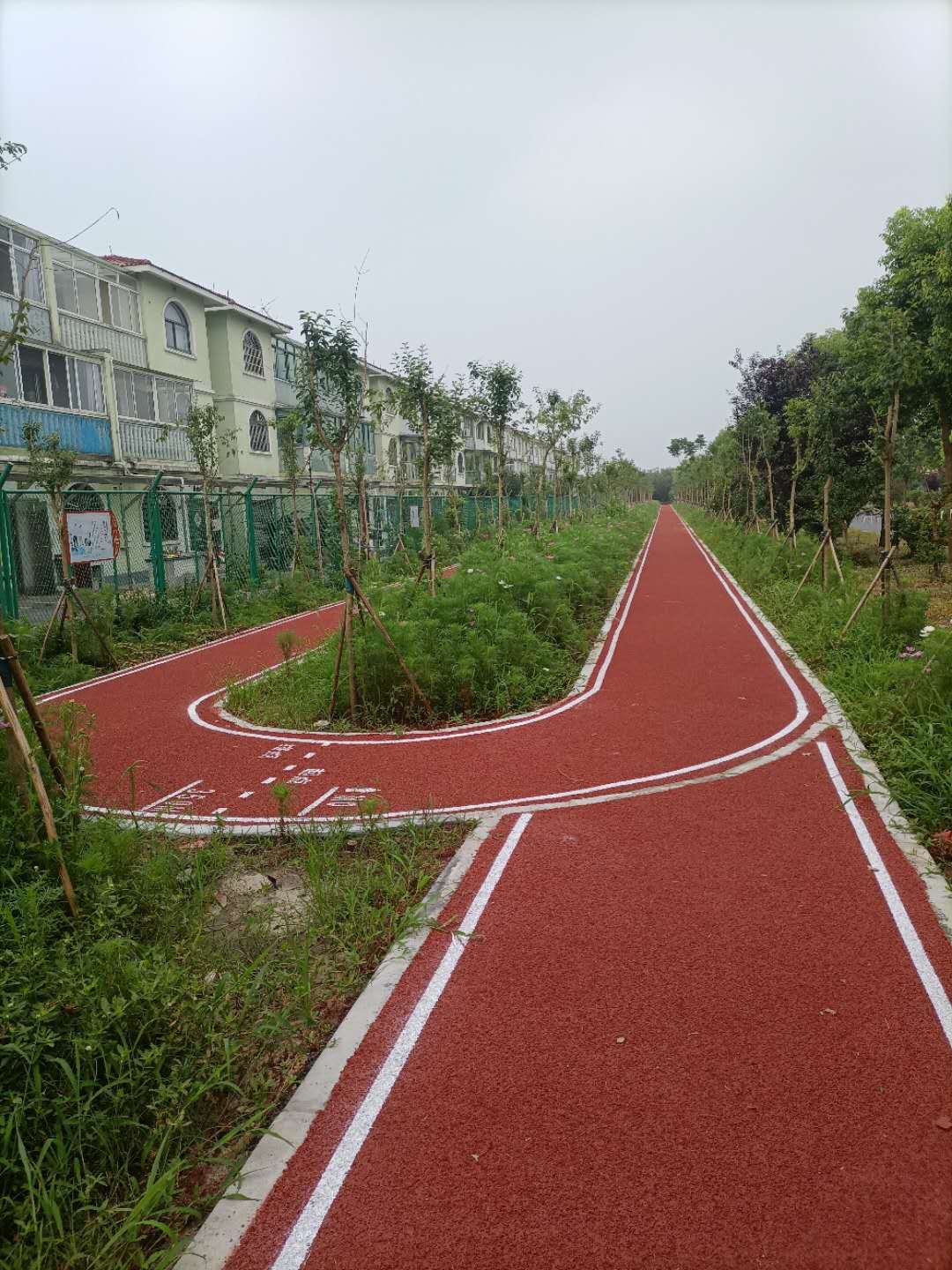 新葉村第三步道