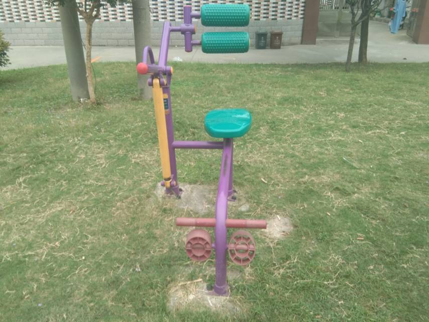 雙立柱腹背訓(xùn)練器 雙立柱腹背訓(xùn)練器