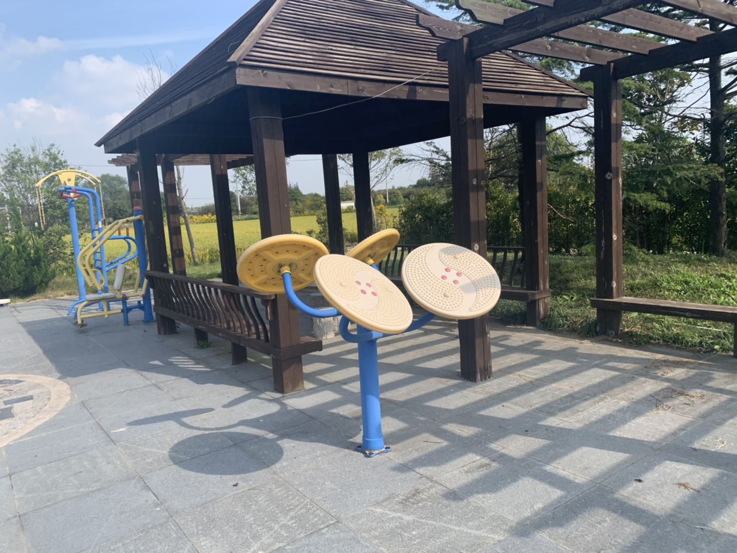 太極推手 太極推手