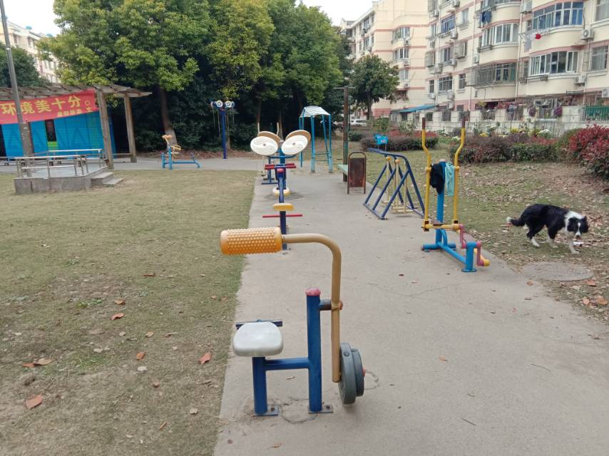 晨陽居委晚霞路551弄20號健身路徑