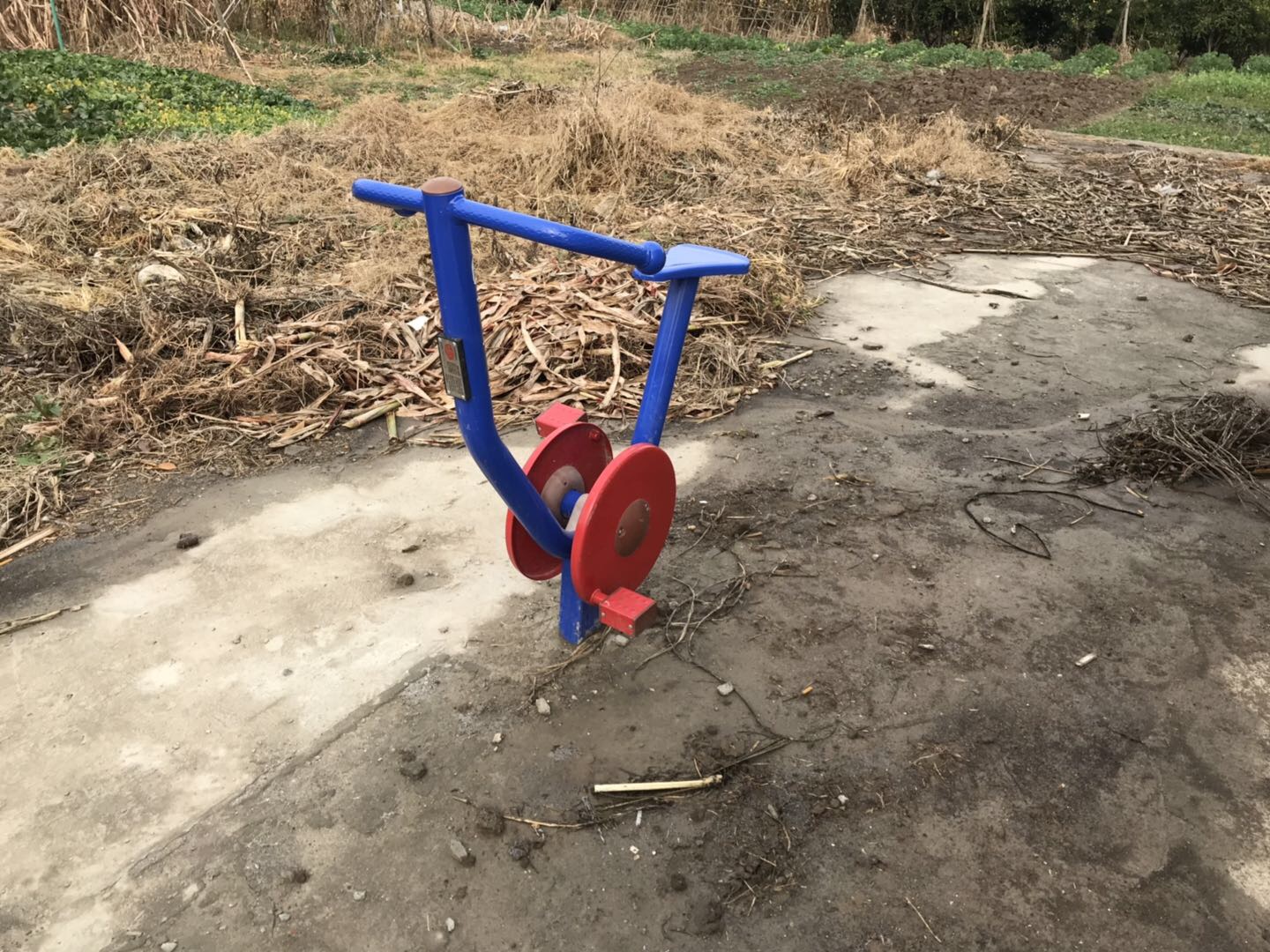 直立健身車 直立健身車