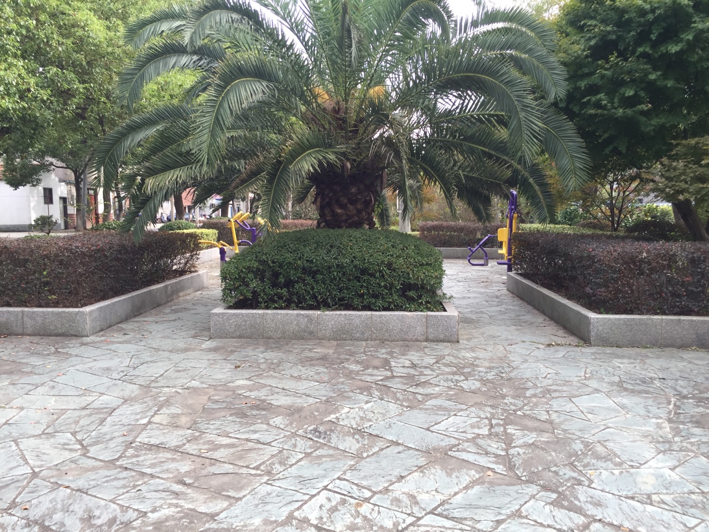 居委會(huì)新春健身點(diǎn)