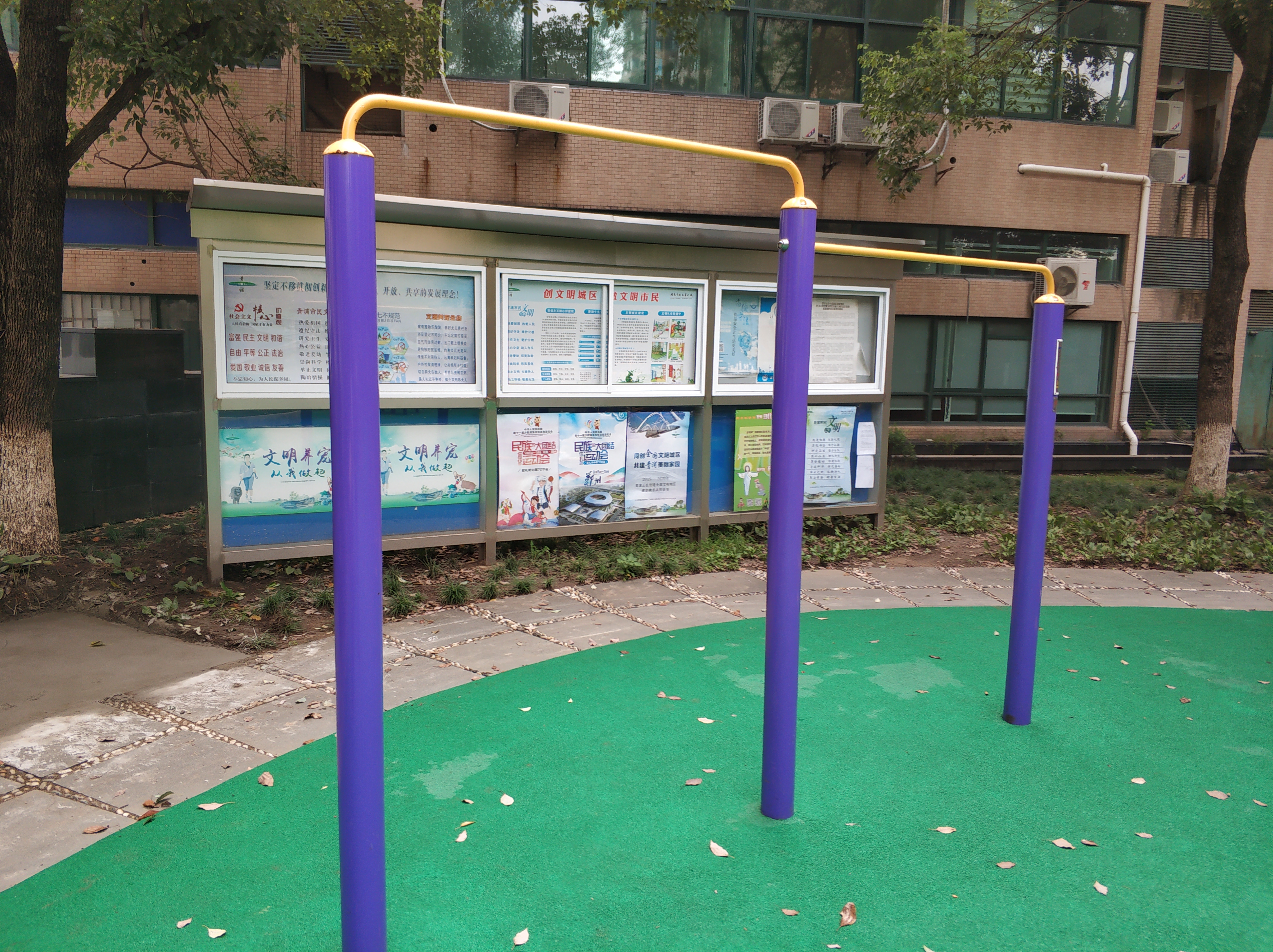 雙立柱背部訓(xùn)練器 雙立柱背部訓(xùn)練器