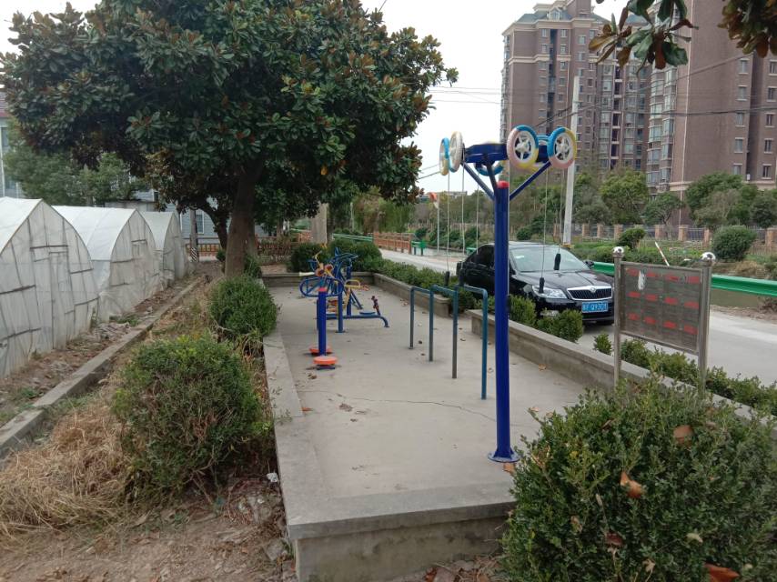 亭東村二組西王家宅10號(hào)后健身路徑