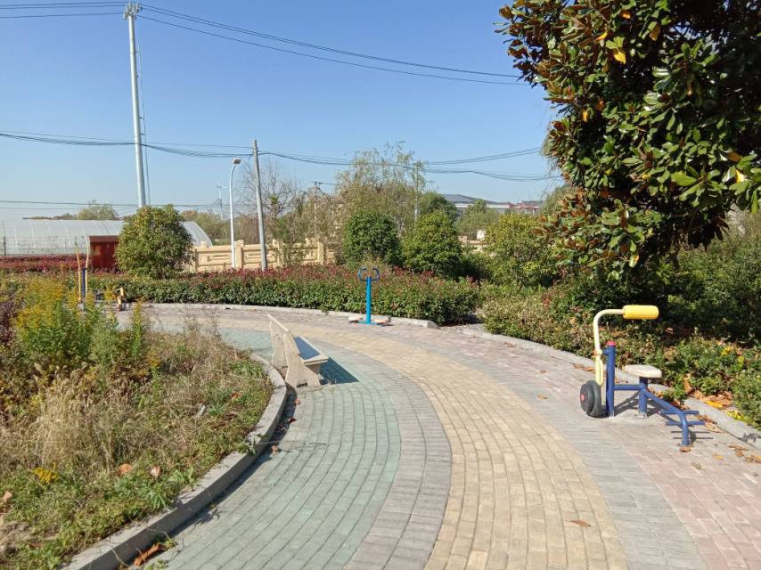 立新村村部801號(hào)健身路徑