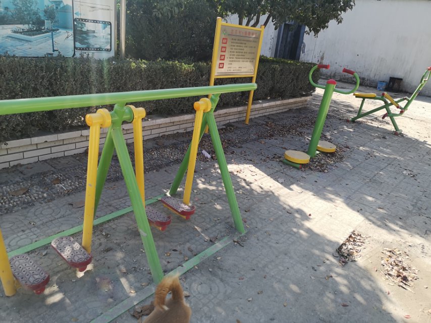 沈莊8組健身點(diǎn)1128號(hào)的西面