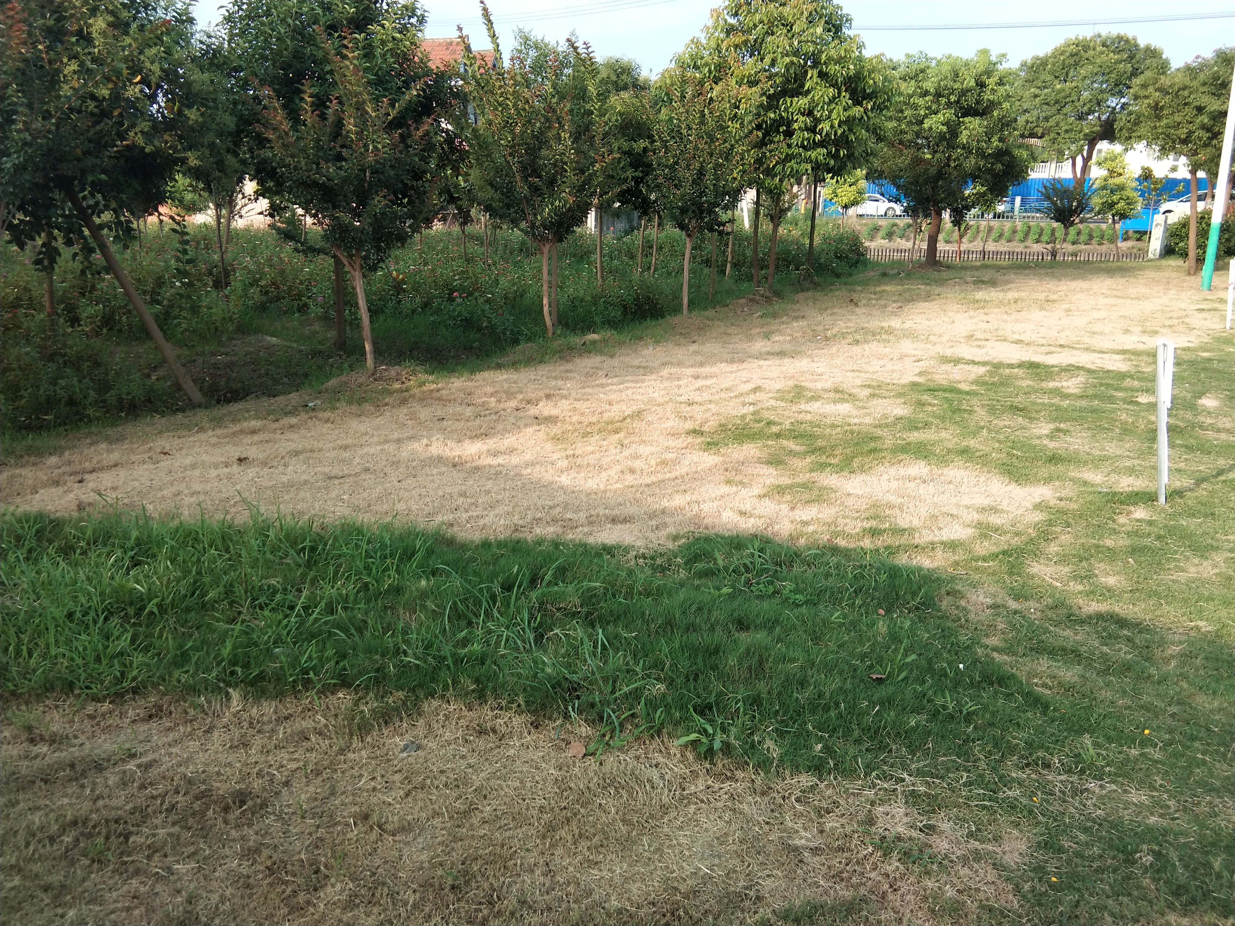 楊家宅第一市民益智健身苑點(diǎn)