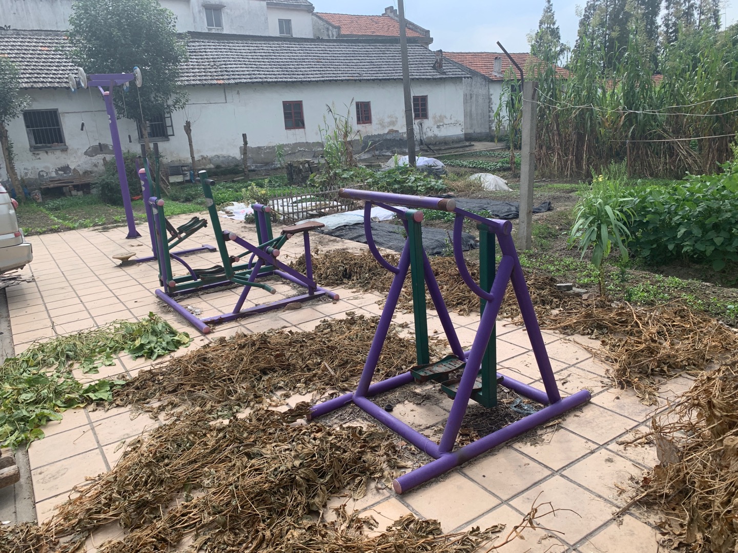 新源村1、2隊(duì)