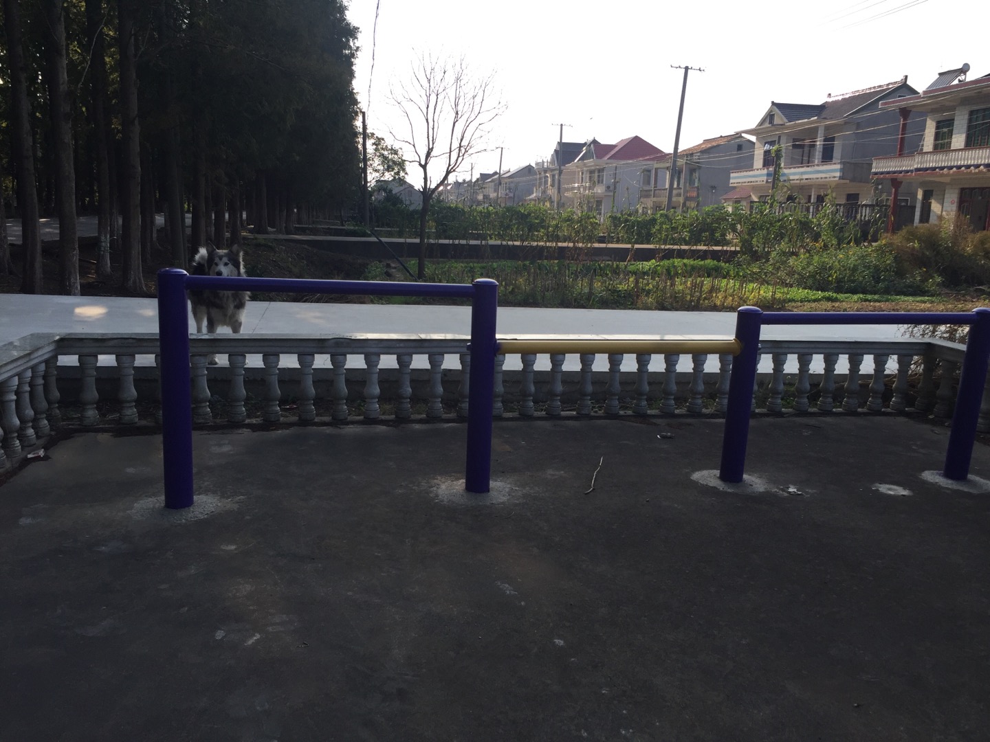 彈振壓腿器 彈振壓腿器