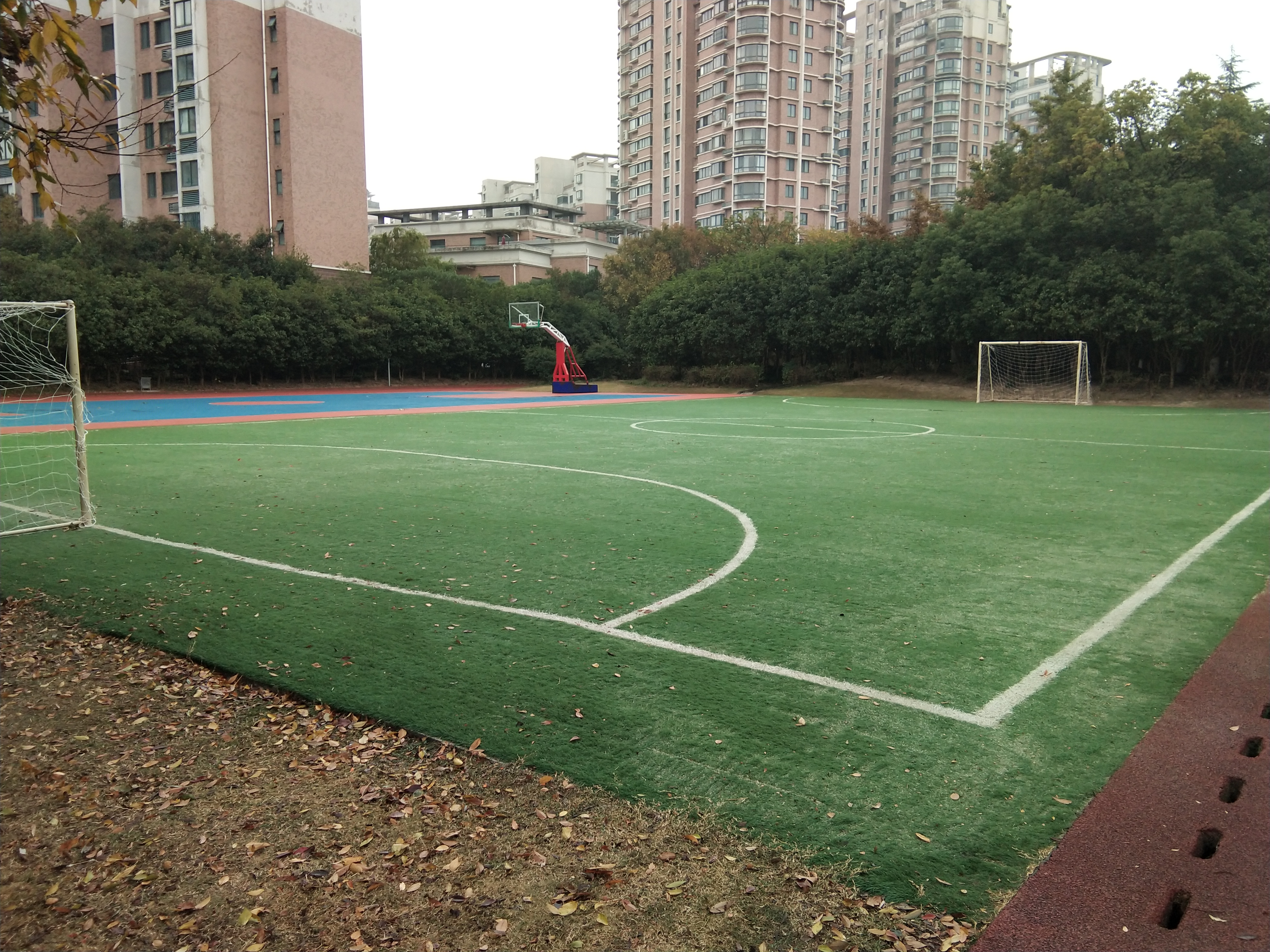 體育公園足球場(北片)