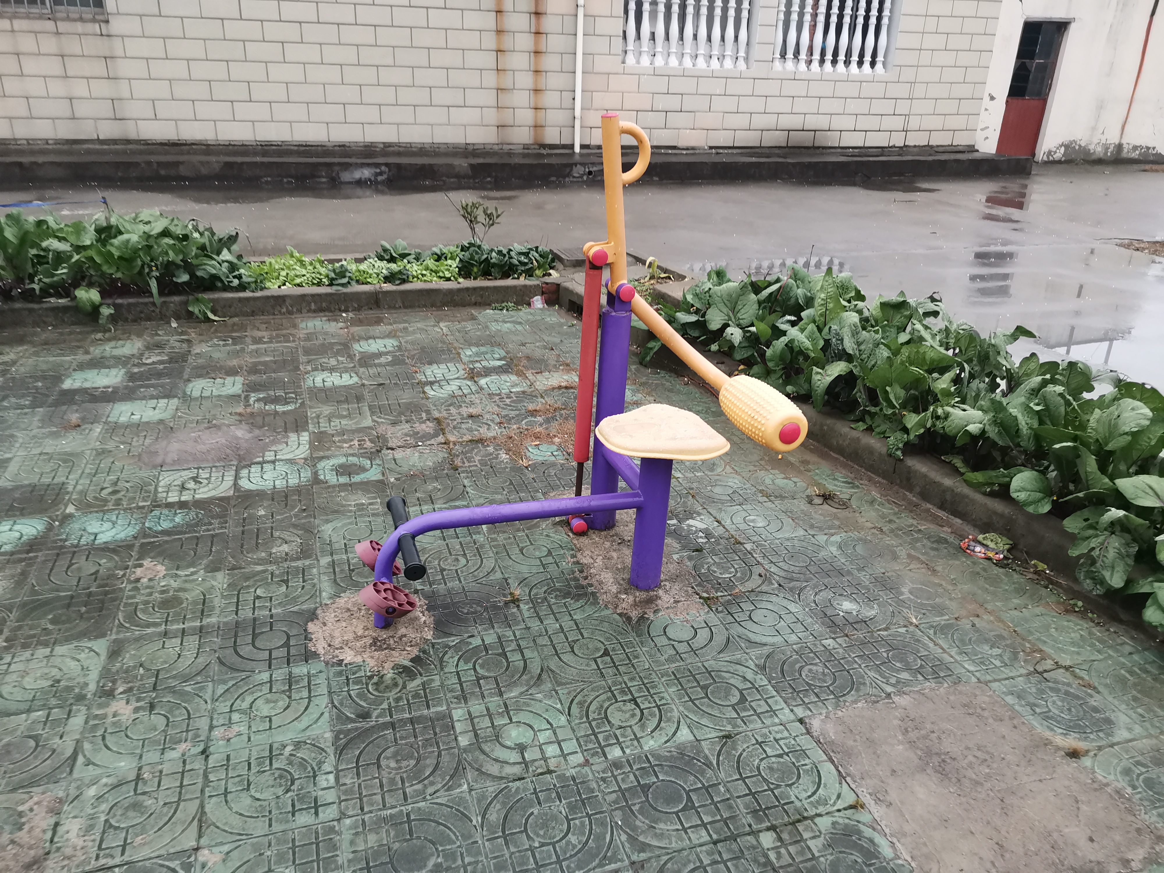 腹背訓(xùn)練器